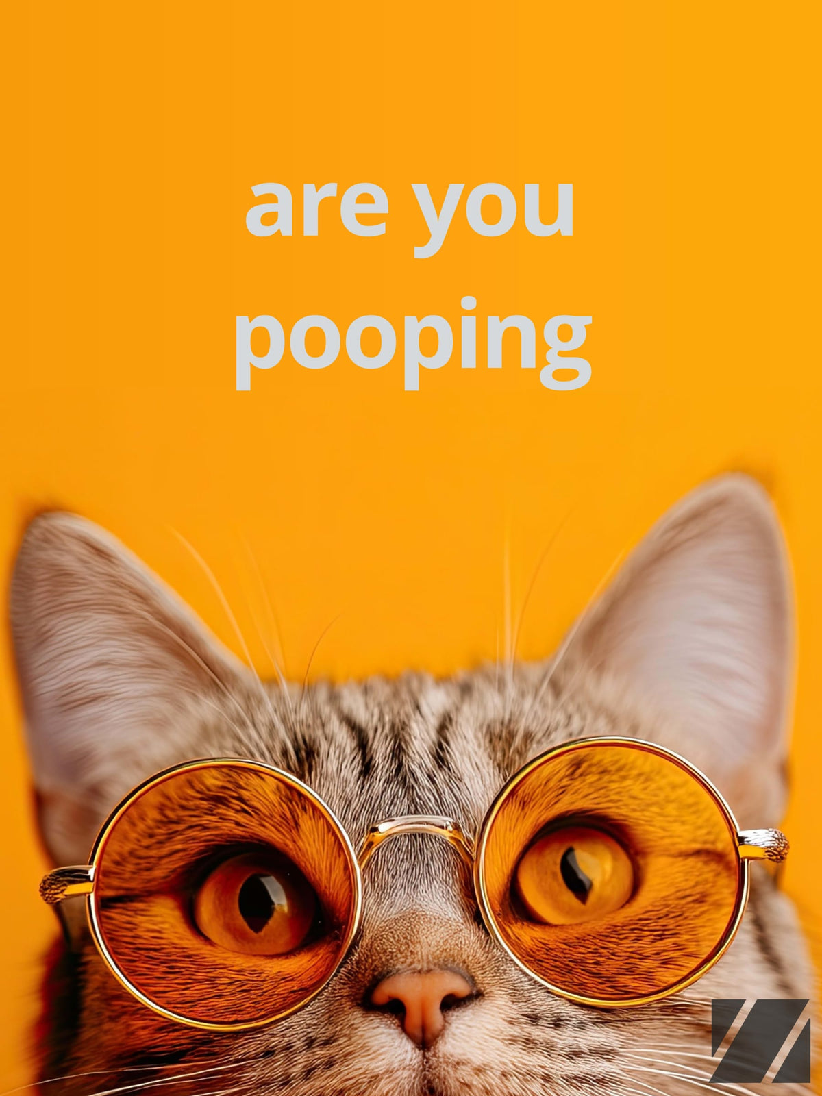 Are You Pooping?