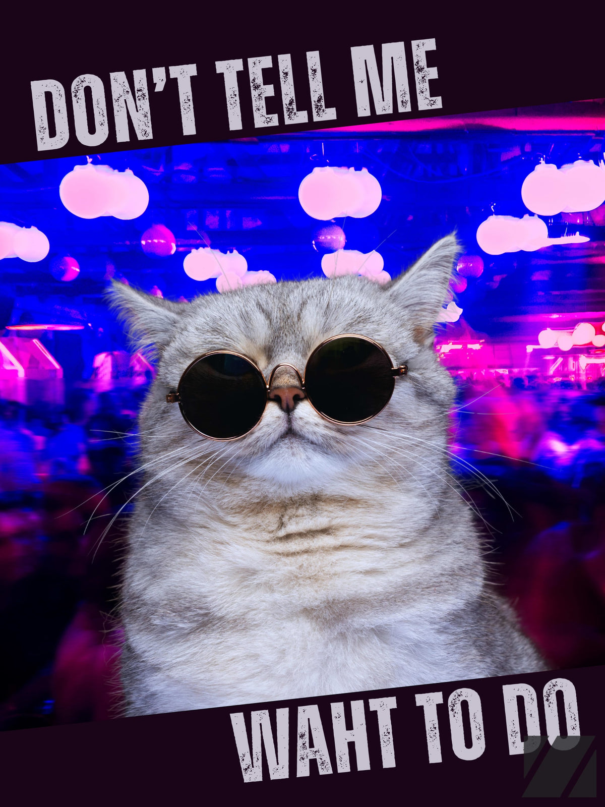 Bitchy Cat
