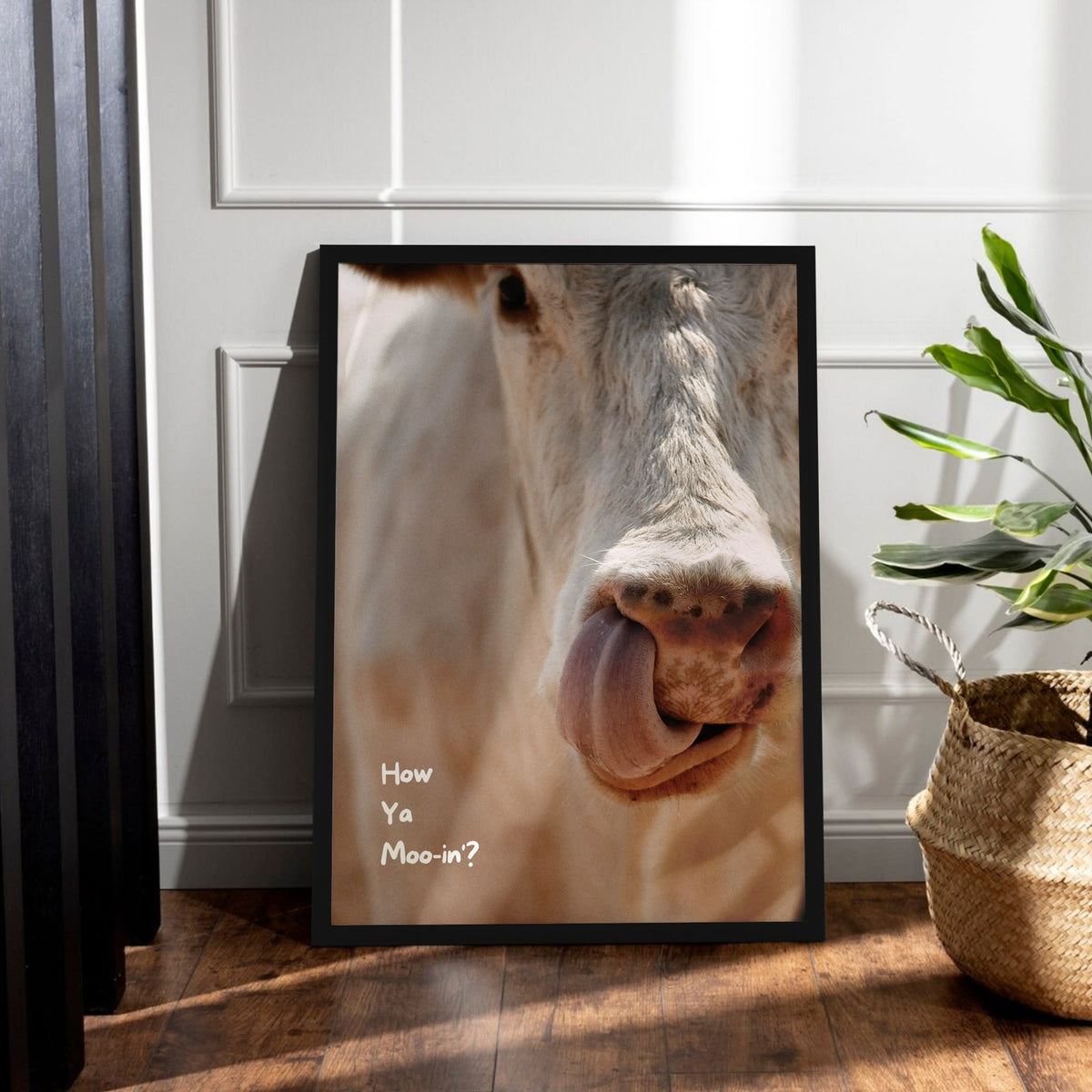 What's You Mooing