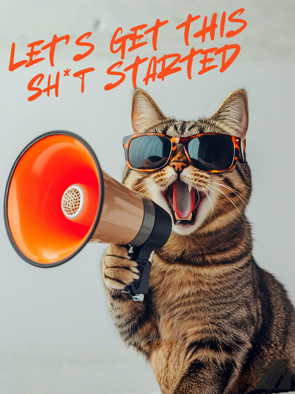 Funny Cat