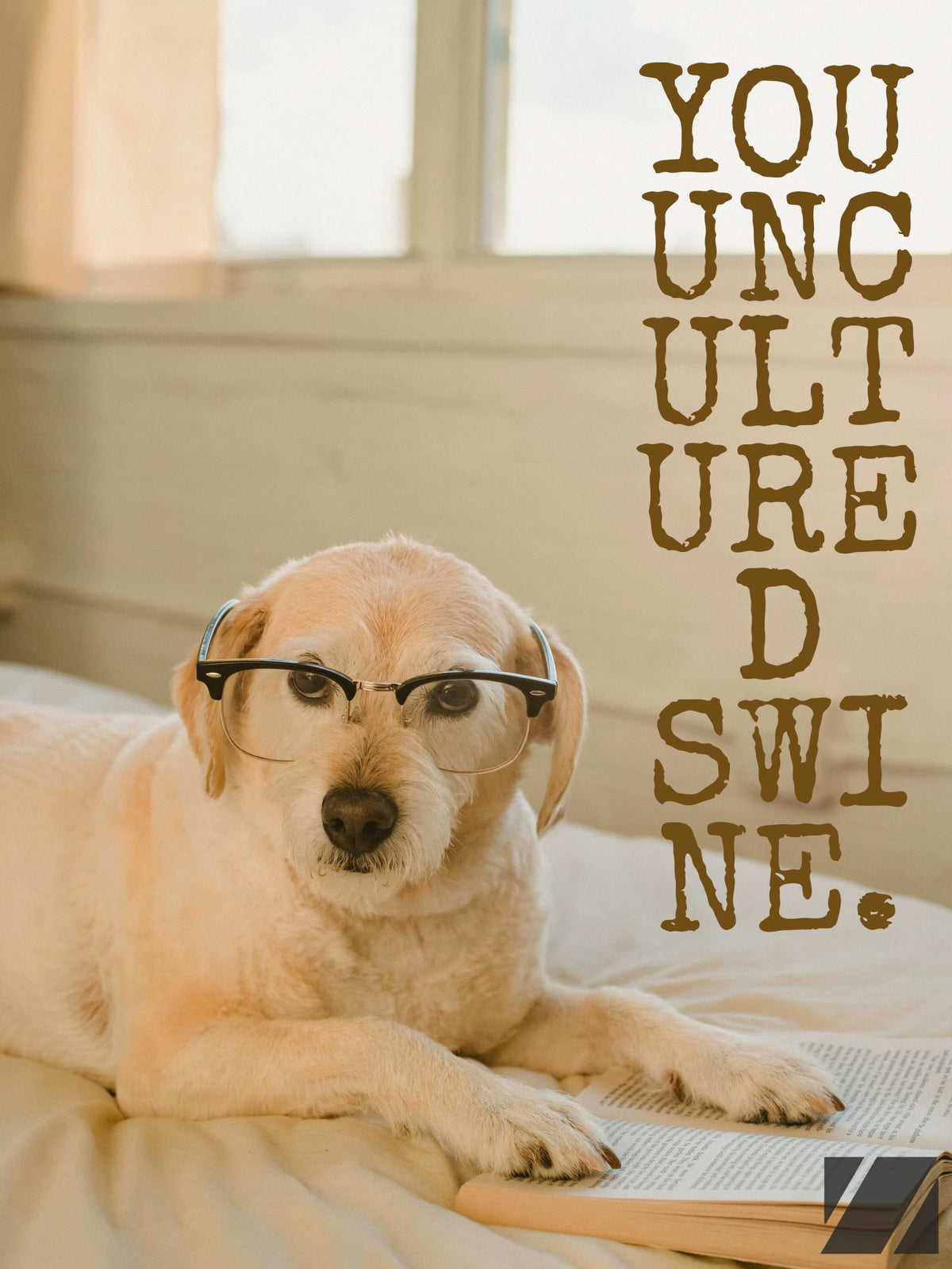 Funny Dog