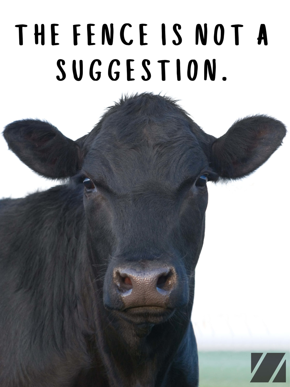 Mad Cow