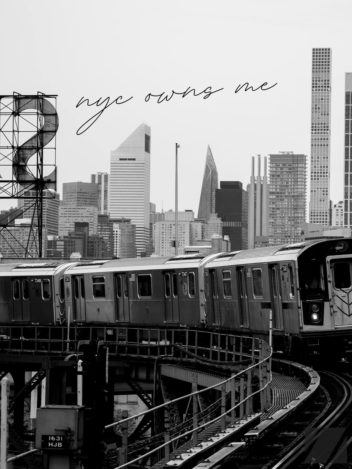 NYC Owns Me