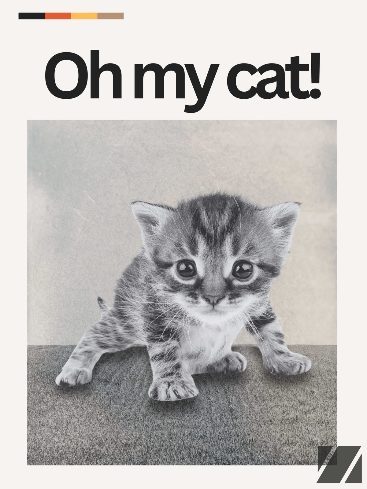 Oh My Cat