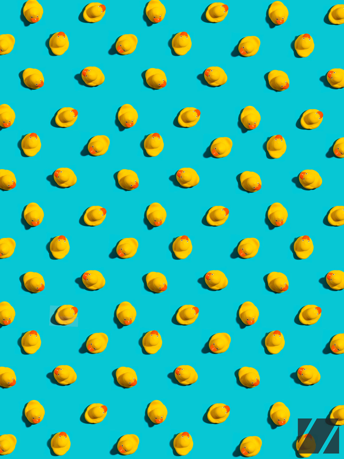 Rubber Duck Society