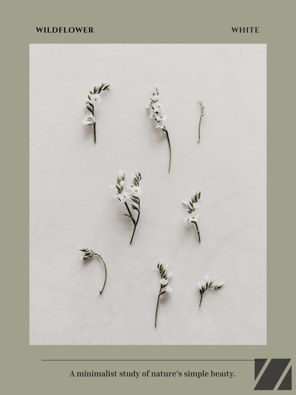 Wildflower